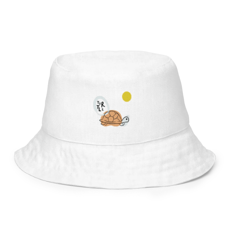 TURTLE product image (1)