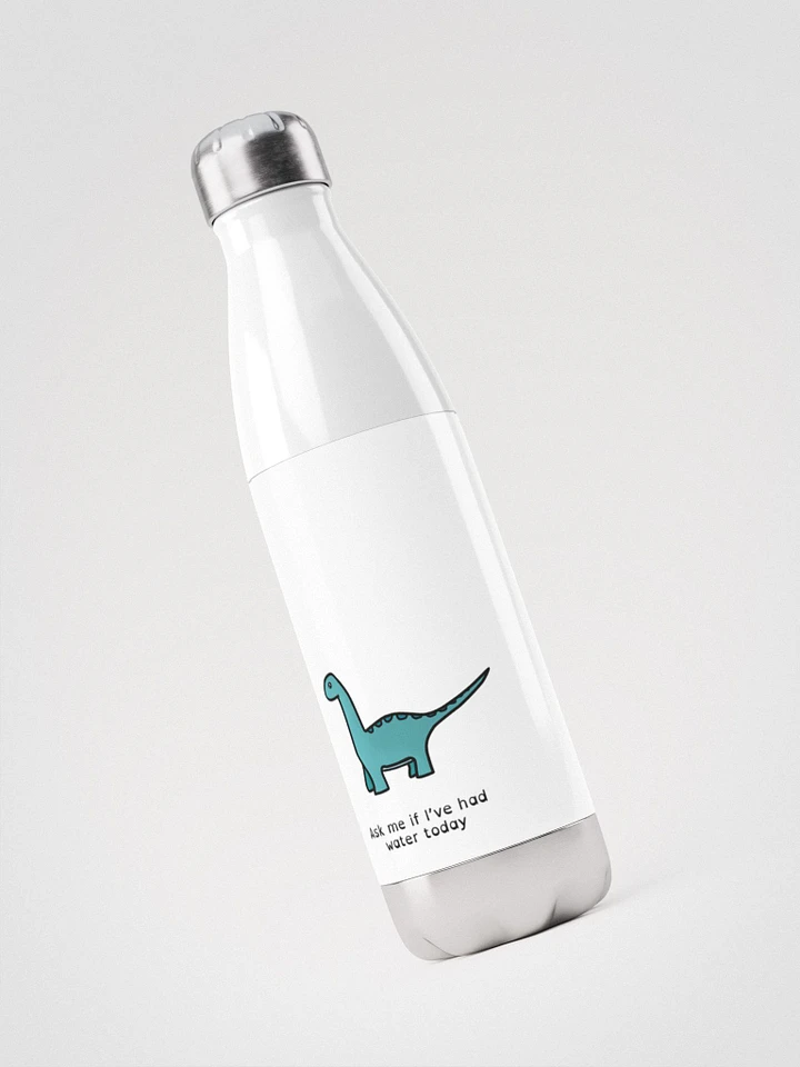 Ask me if I've had water today - Steel Water Bottle product image (1)