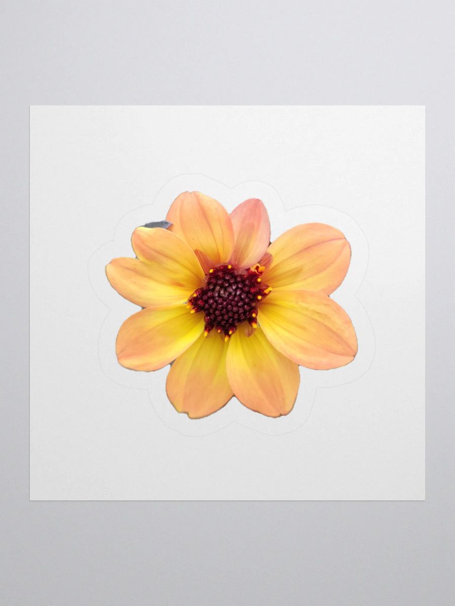 Flower Stickers v3 product image (1)