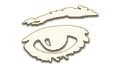 VI3ION