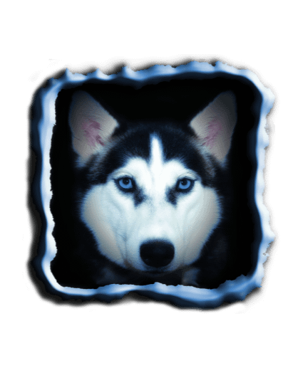 Blue Eyed Husky Digital Product product image (1)