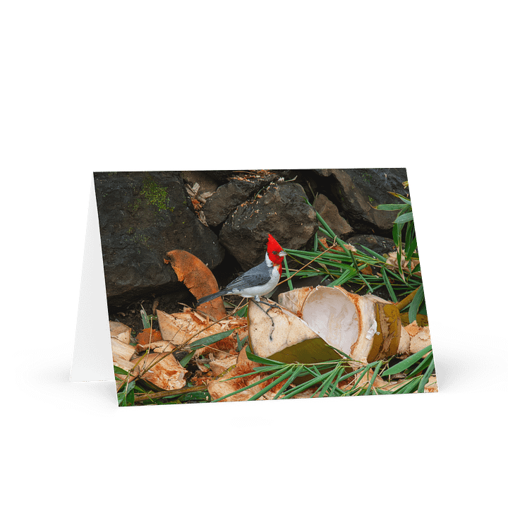 Tropical Bird Greeting Card product image (1)