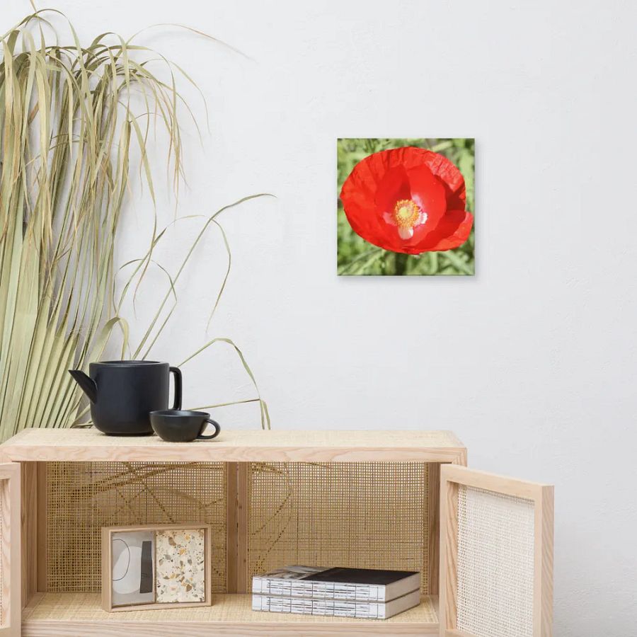 Red Poppy product image (2)