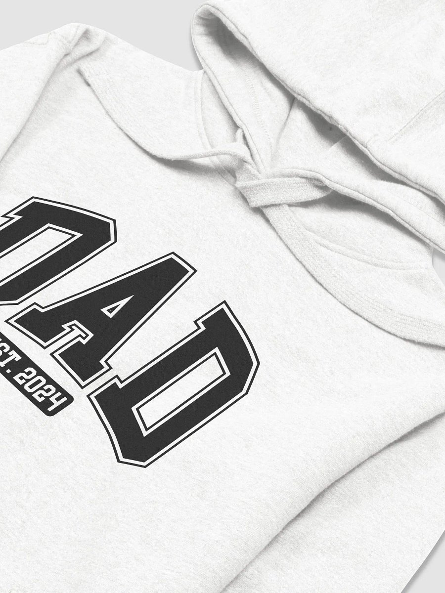 Dad Est. 2024 Hoodie product image (3)