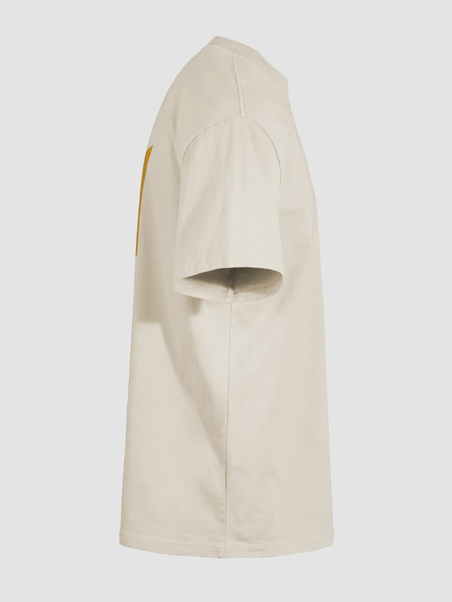 Standard T-Shirt product image (10)