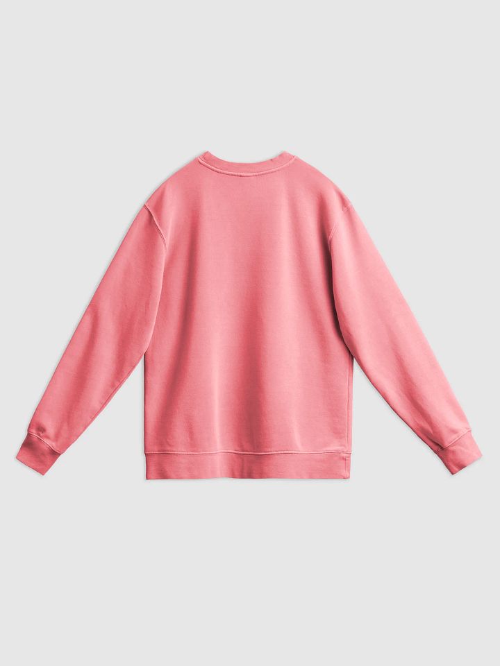 Gender Norm Connection Sweatshirt product image (2)