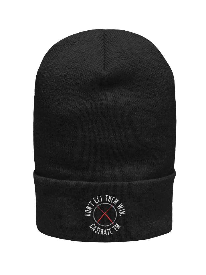 Don't Let Them Win Beanie product image (31)