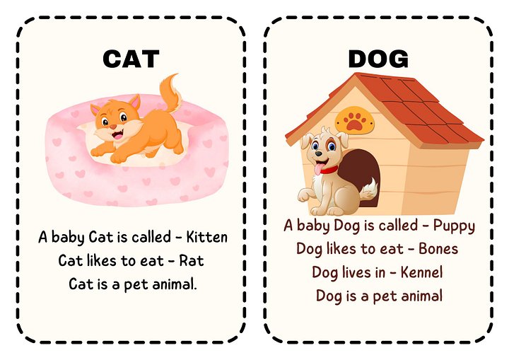 Learn to Read - Animal Flashcards product image (1)