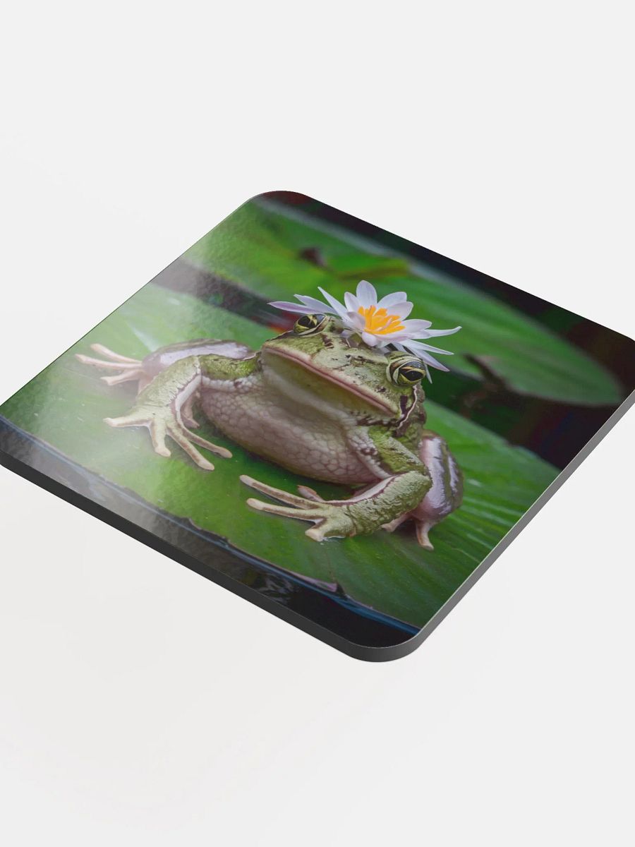 Frog Coaster product image (4)