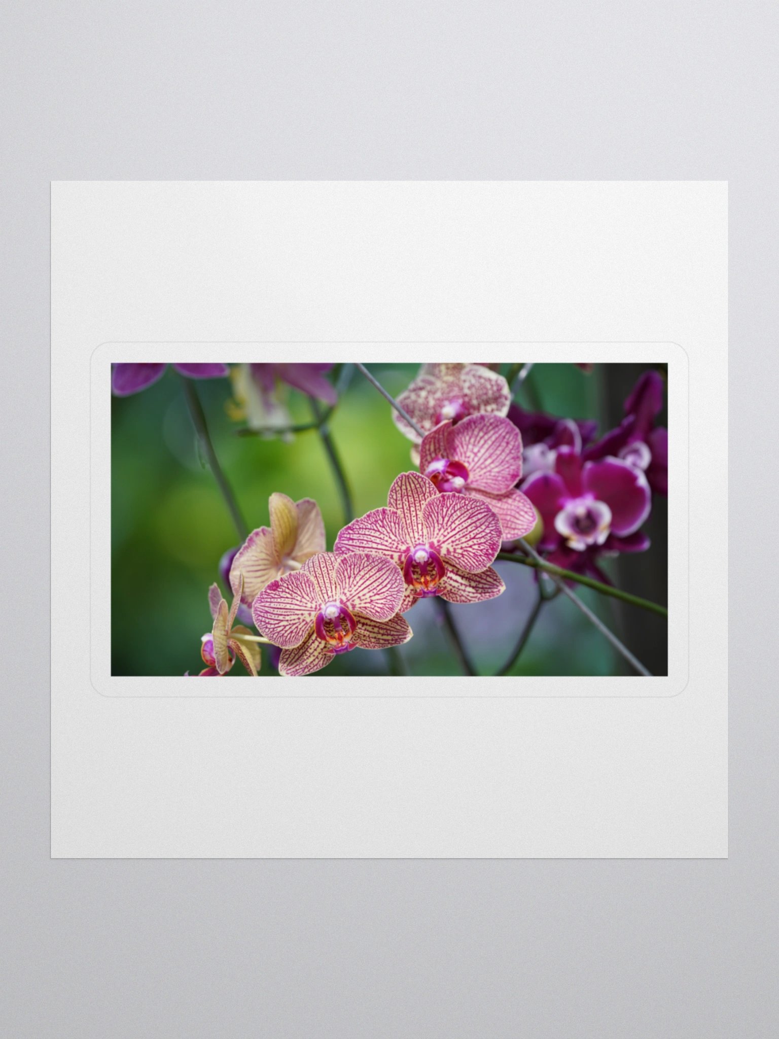 Orchid Dreams Kiss Cut Stickers product image (1)