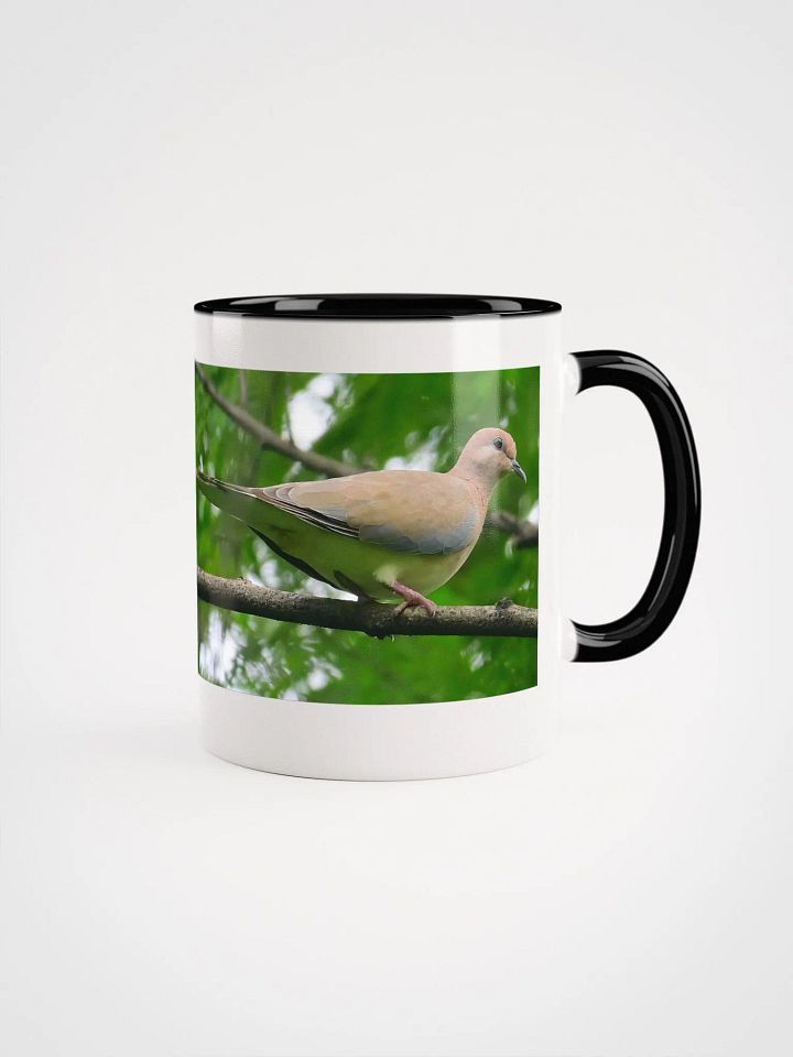 IUCAA Birds MUG product image (3)
