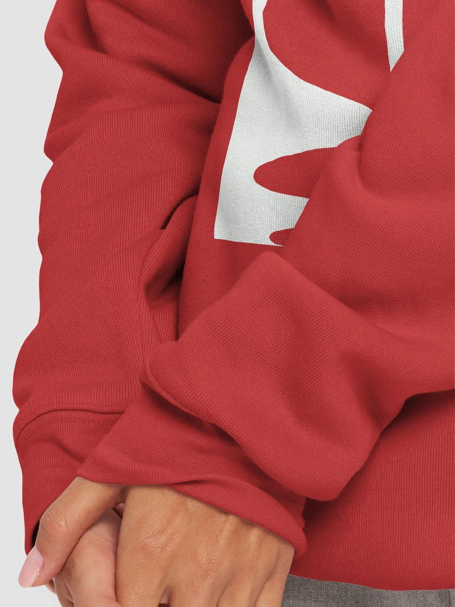 Bella+Canvas Unisex Sponge Fleece Raglan Sweatshirt product image (28)