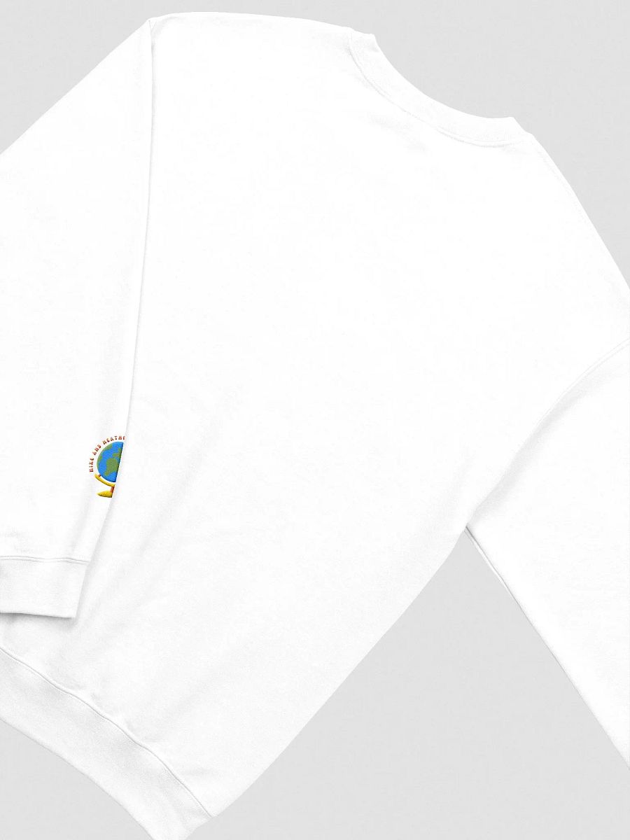 Living my Best Life: Colorful Embroidered Crewneck product image (3)