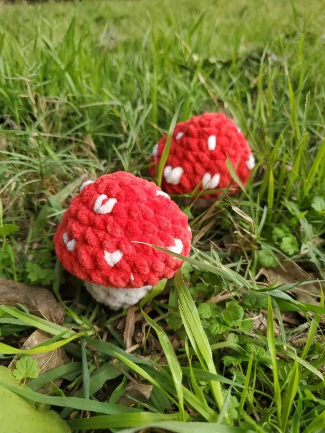 Mushroom Popper product image (1)