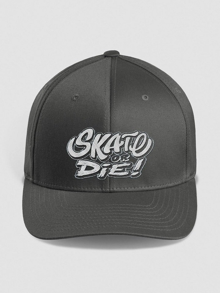 Skate Or Die! Fitted Hat (reverse) Women's product image (3)