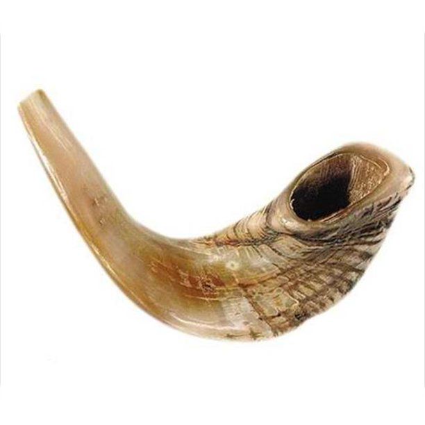 Standard Ram's Horn product image (2)