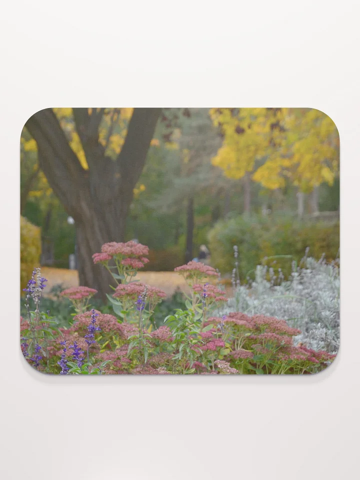 Mauspad - Park im Herbst product image (2)