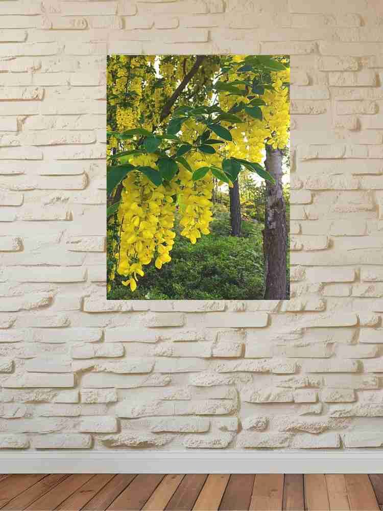 Golden Rain Flowers product image (3)