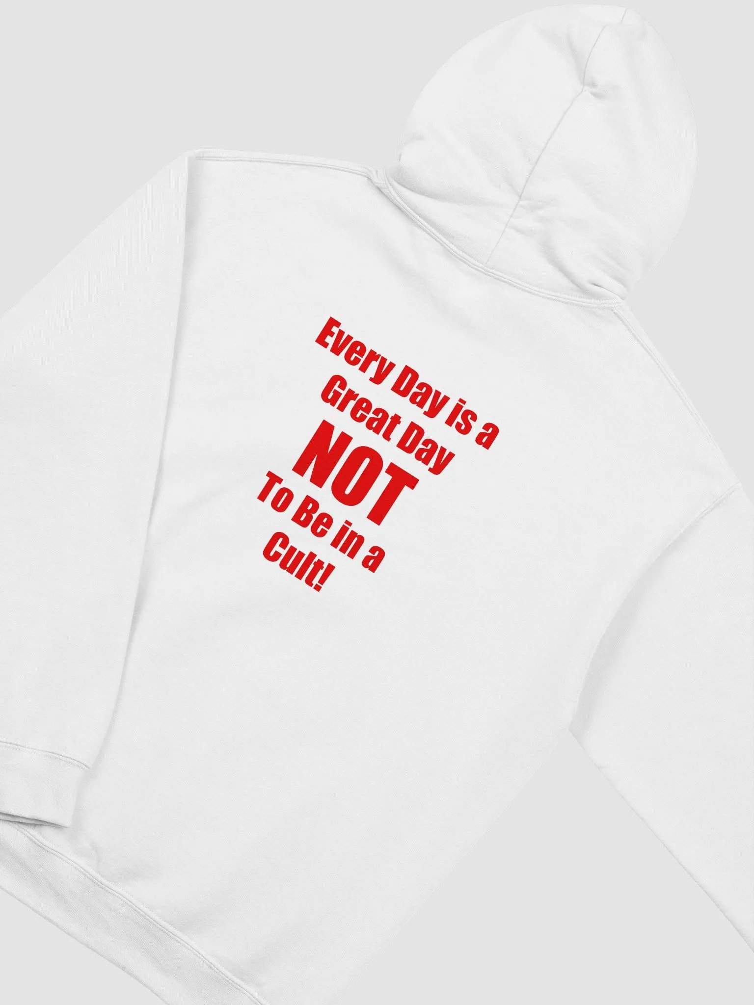 SPTV Foundation Classic Hoodie in White product image (4)