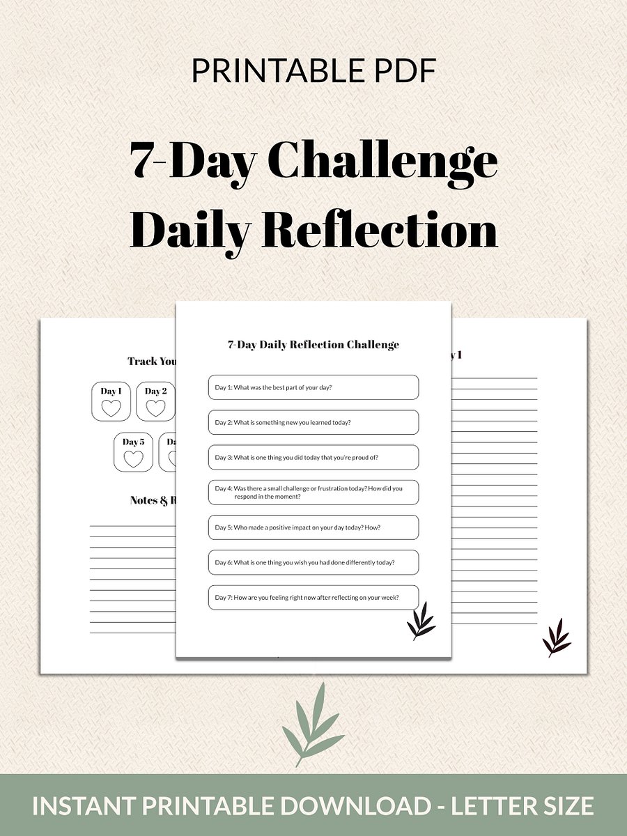 7-Day Daily Reflection Challenge Printable product image (2)