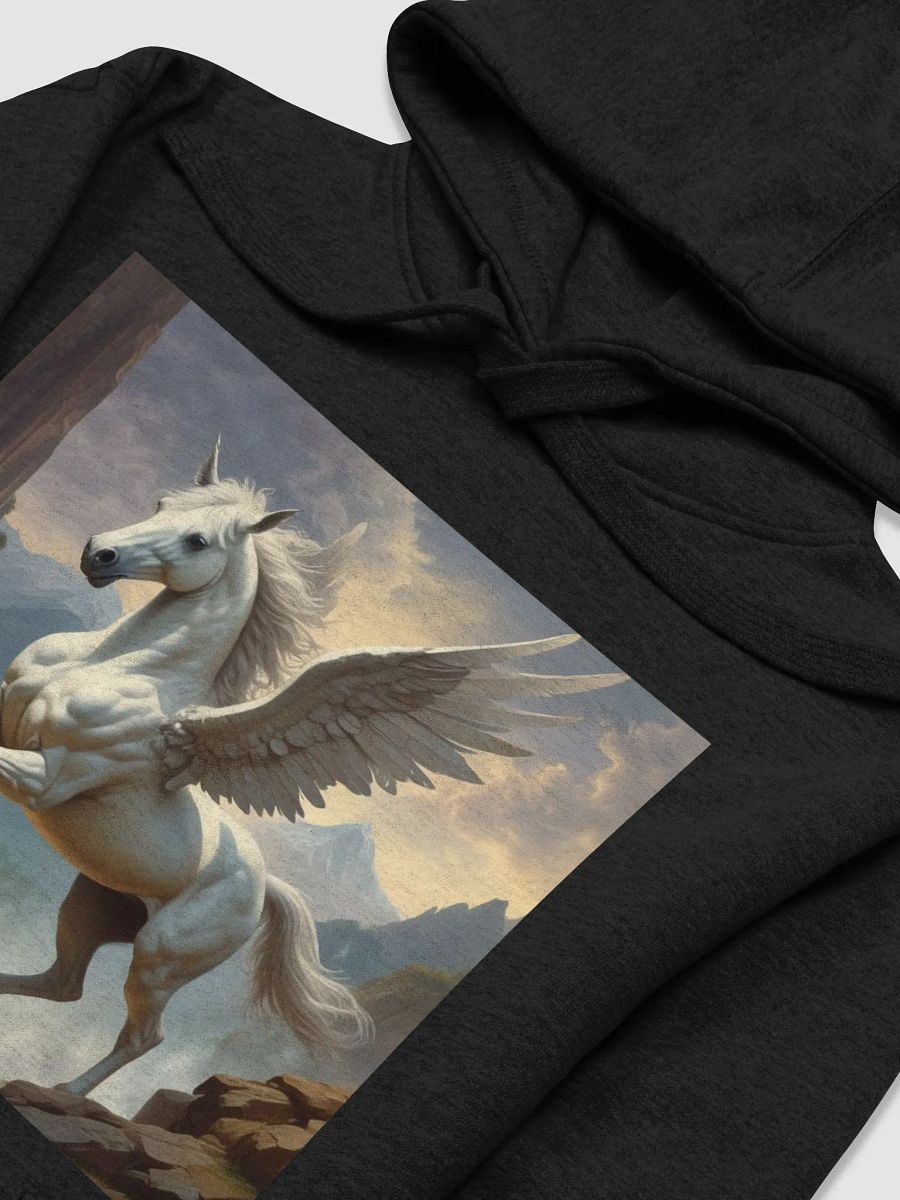 Pegasus product image (40)