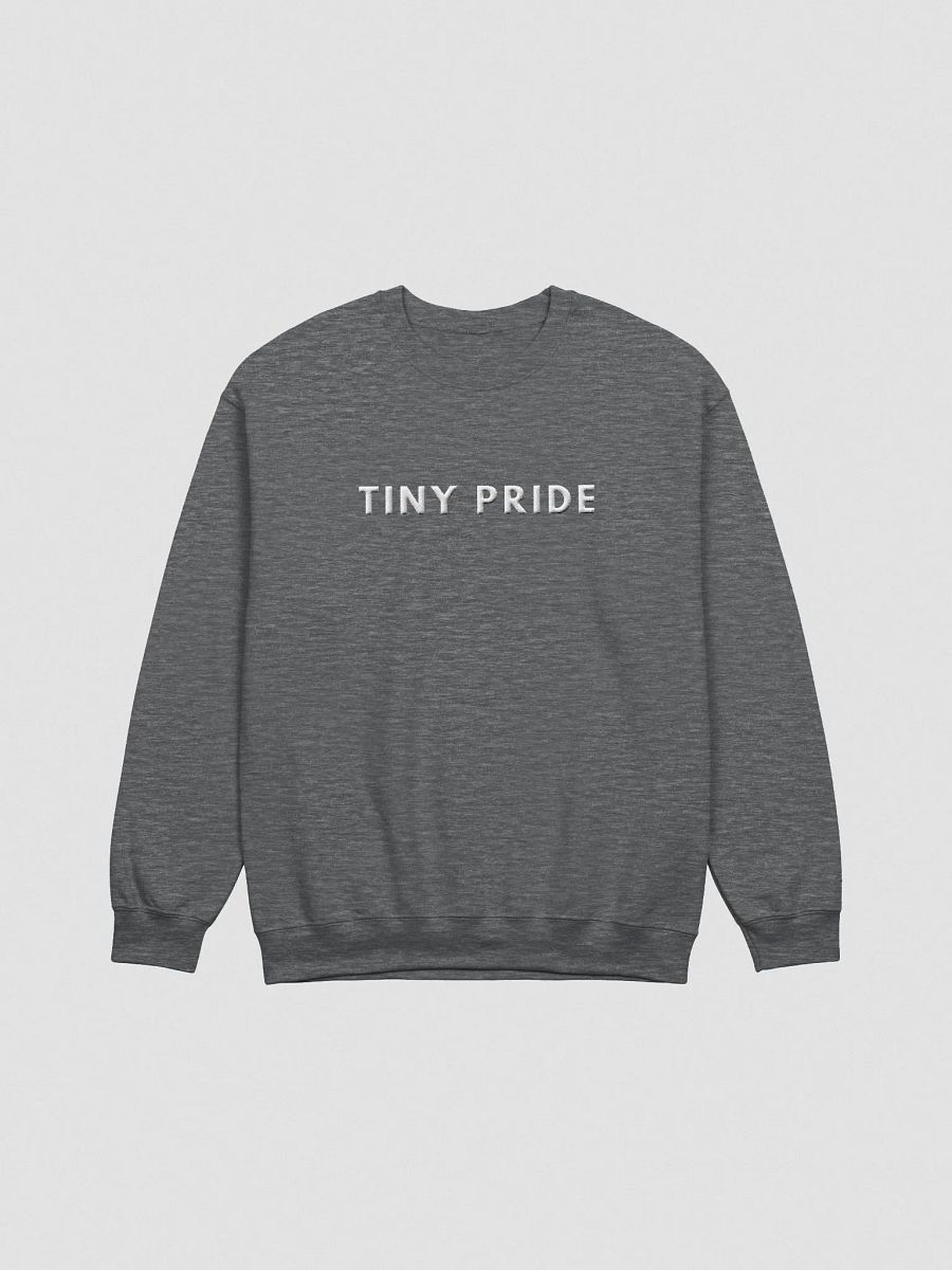 Tiny Pride Stitch Up product image (1)