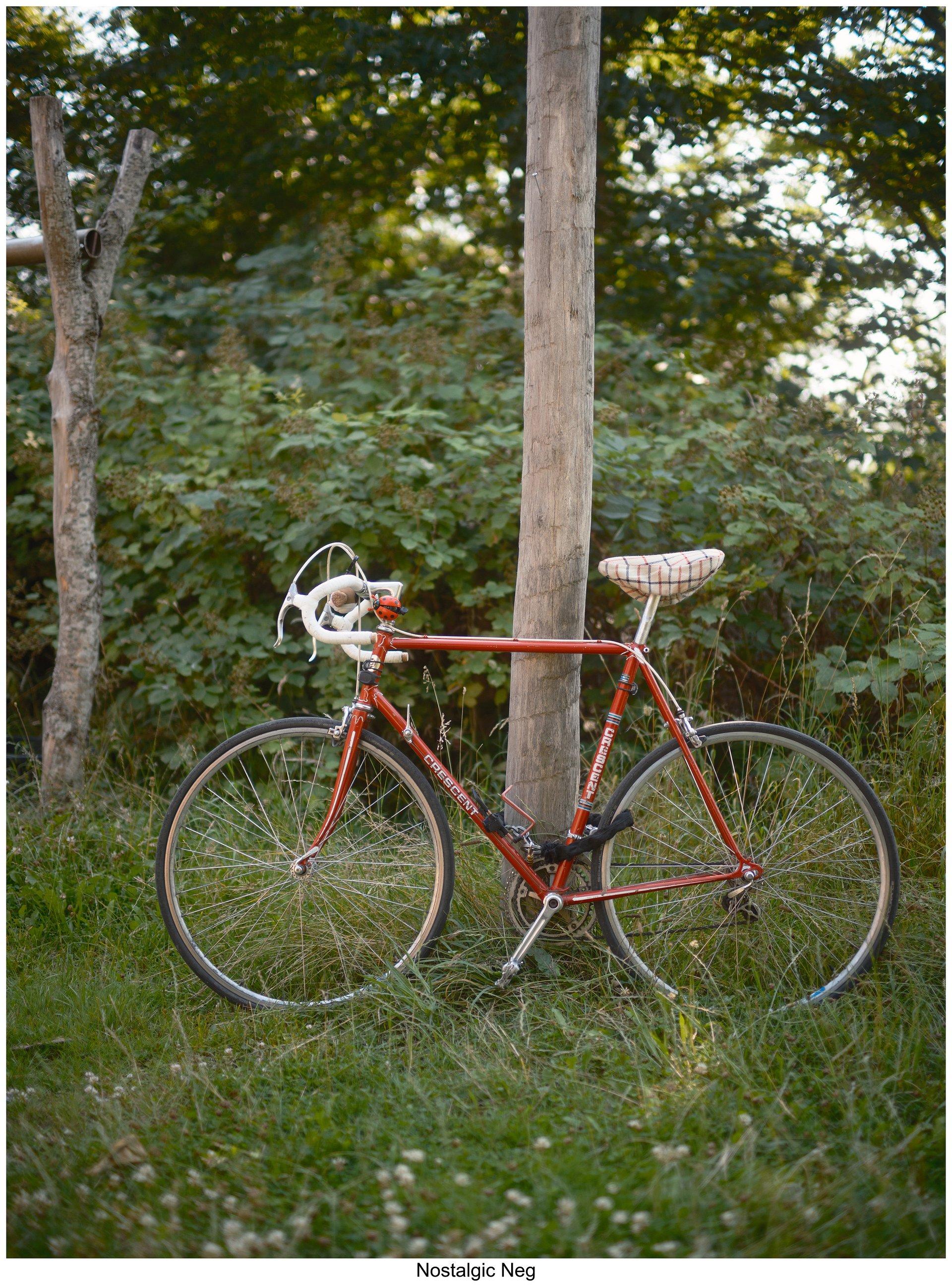 Fujify [Nikon] Lightroom Profile - Nostalgic Neg product image (2)