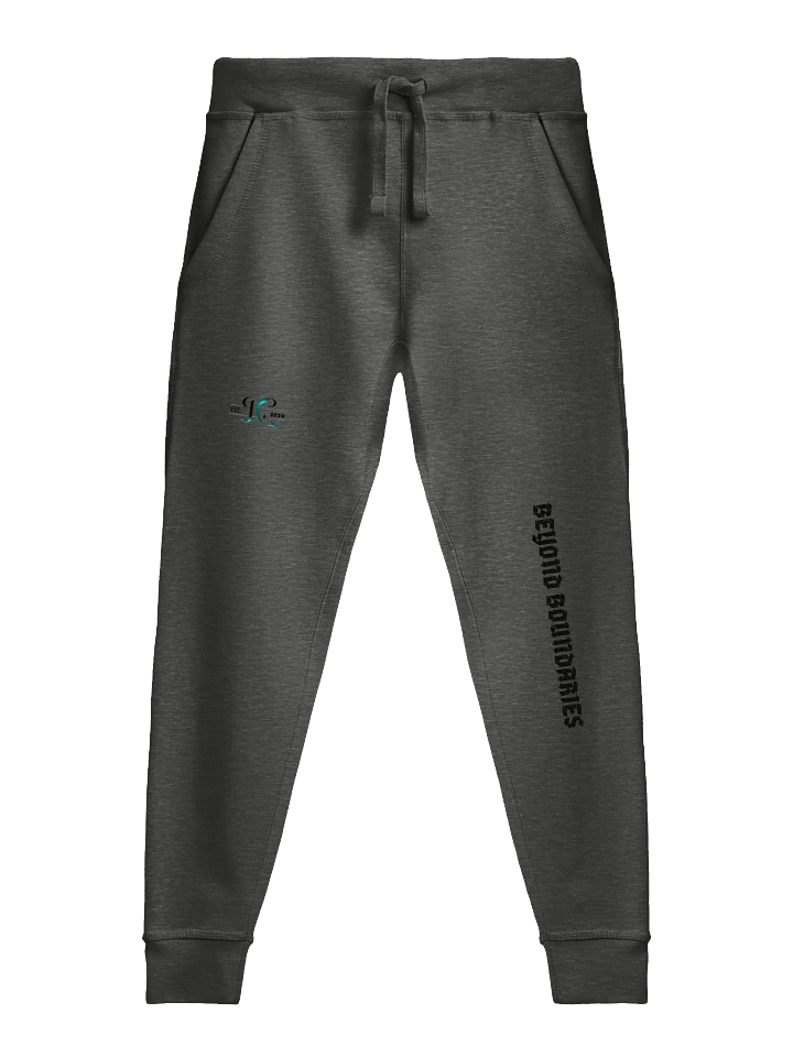 Midnight Black, Beyond Boundaries Fleece Joggers product image (5)