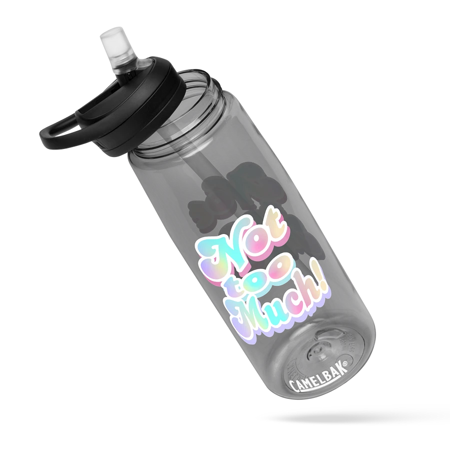 Whimsical Double 'Not Too Much' Water Bottle product image (26)