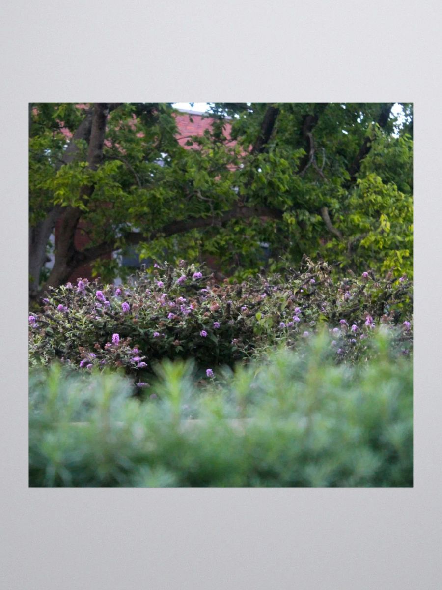 A Study in Flowers 17 - sticker version product image (3)