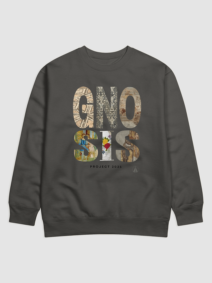GNOSIS Project Limited Edition Sweatshirt 2025 product image (1)