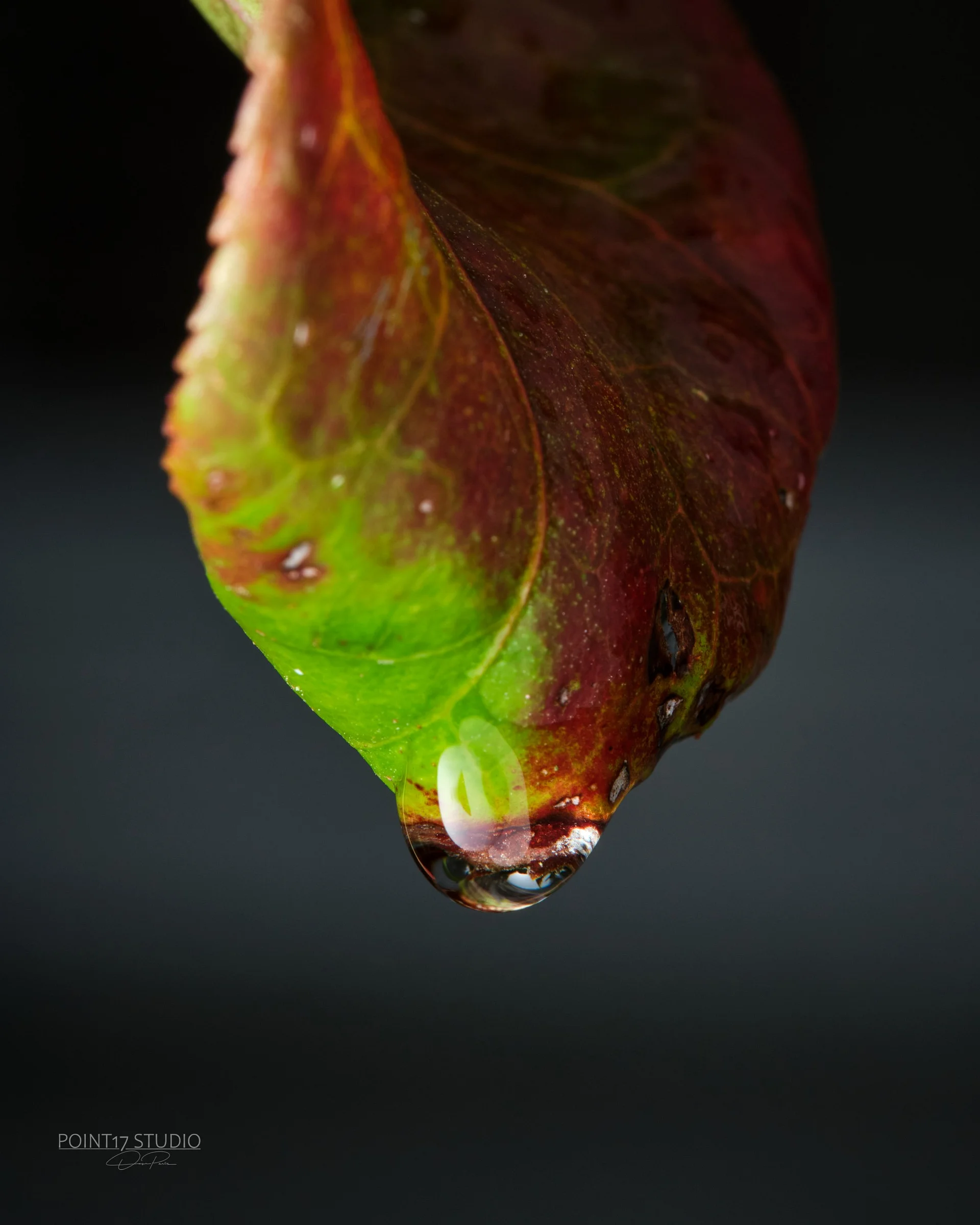 Crystal Drop - Poster product image (9)