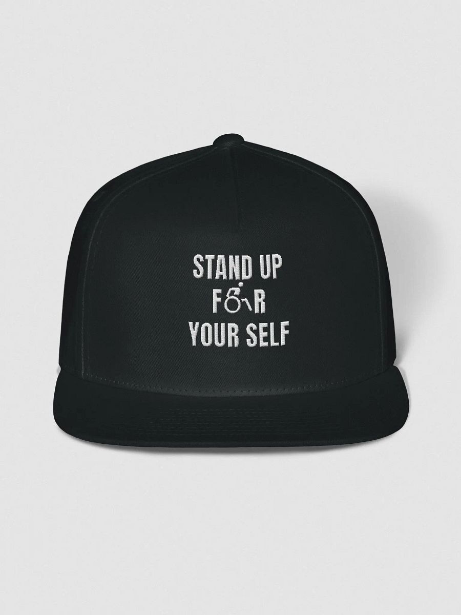 Stand Up Hat Black product image (1)