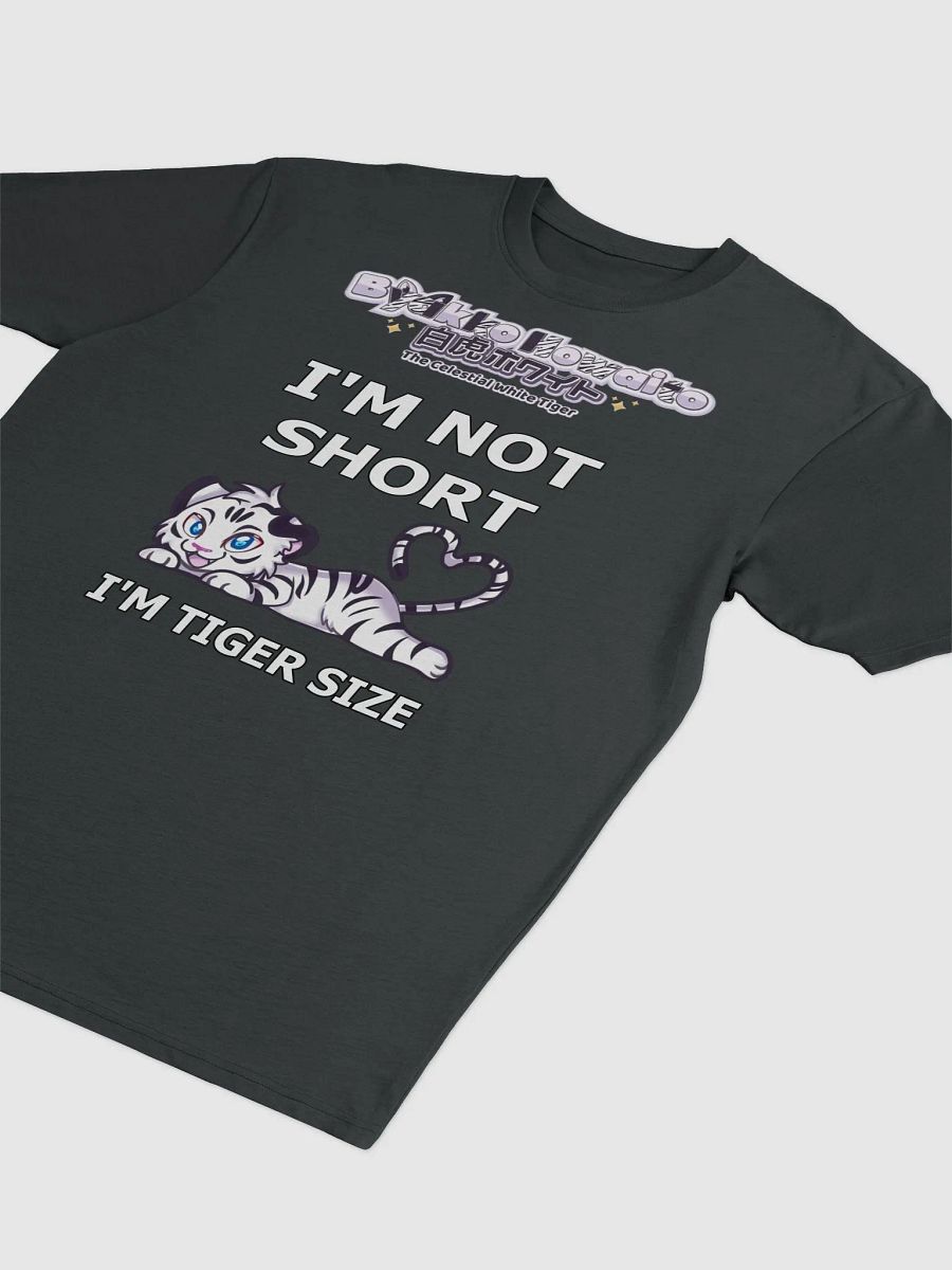 Premium Heavyweight Tee - Byakko Not Short Edition product image (15)
