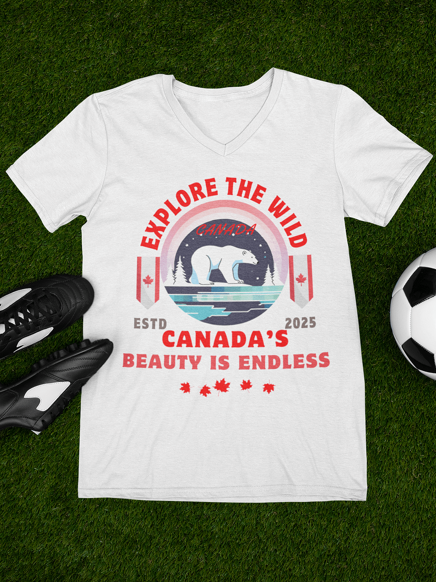 Canada's Beauty Relaxed V-Neck Tee product image (4)
