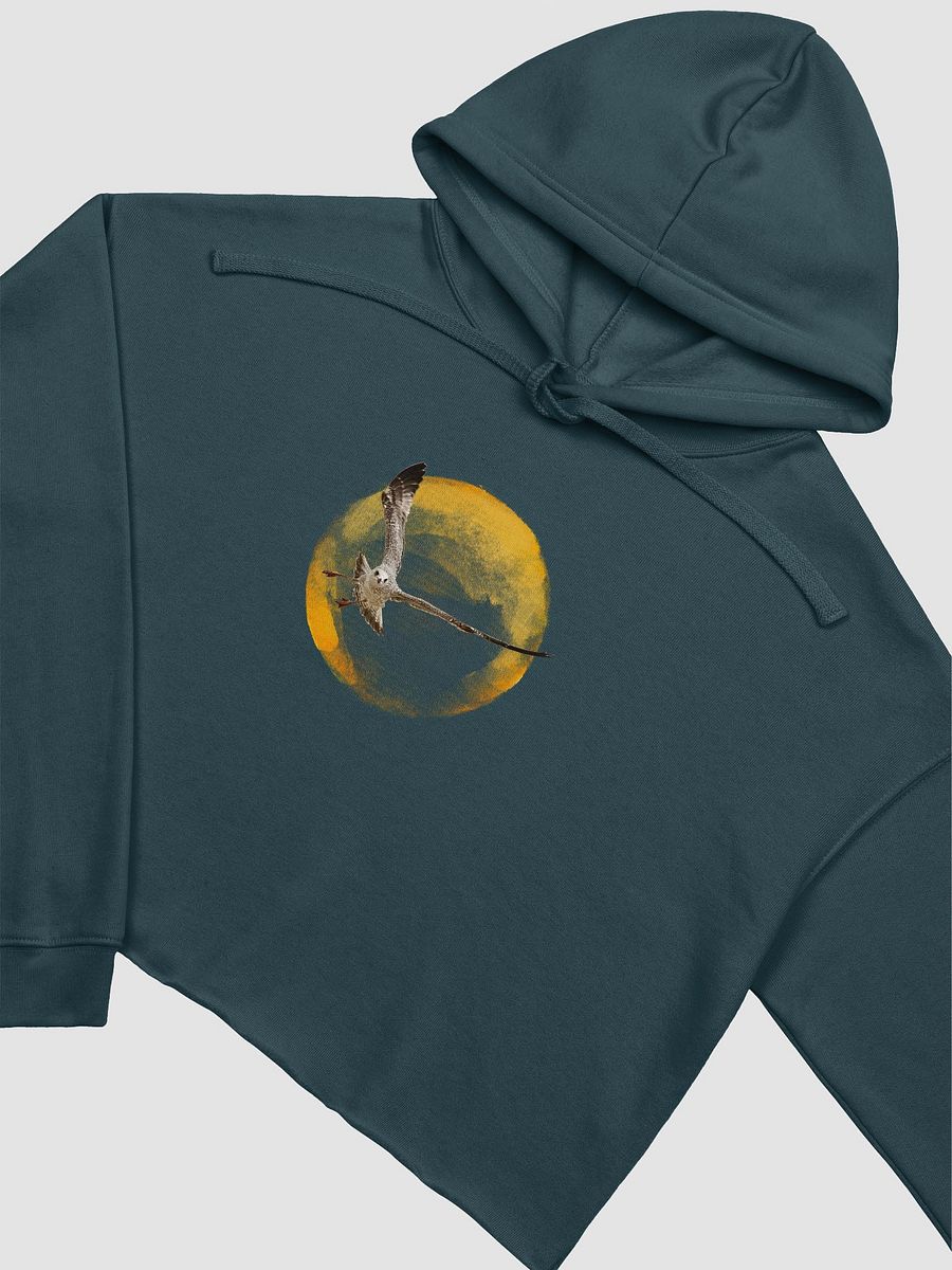 Young Sun Gull Crop Hoodie product image (15)