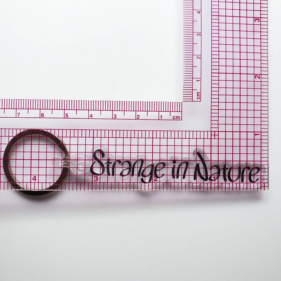 Strange in Nature - Acrylic Keychain product image (3)