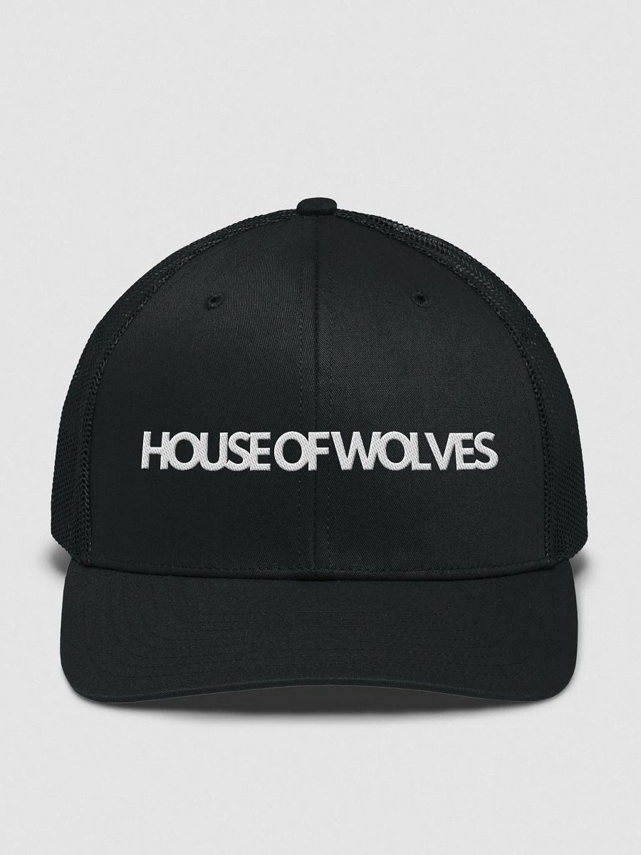 The Bassline Snapback product image (1)