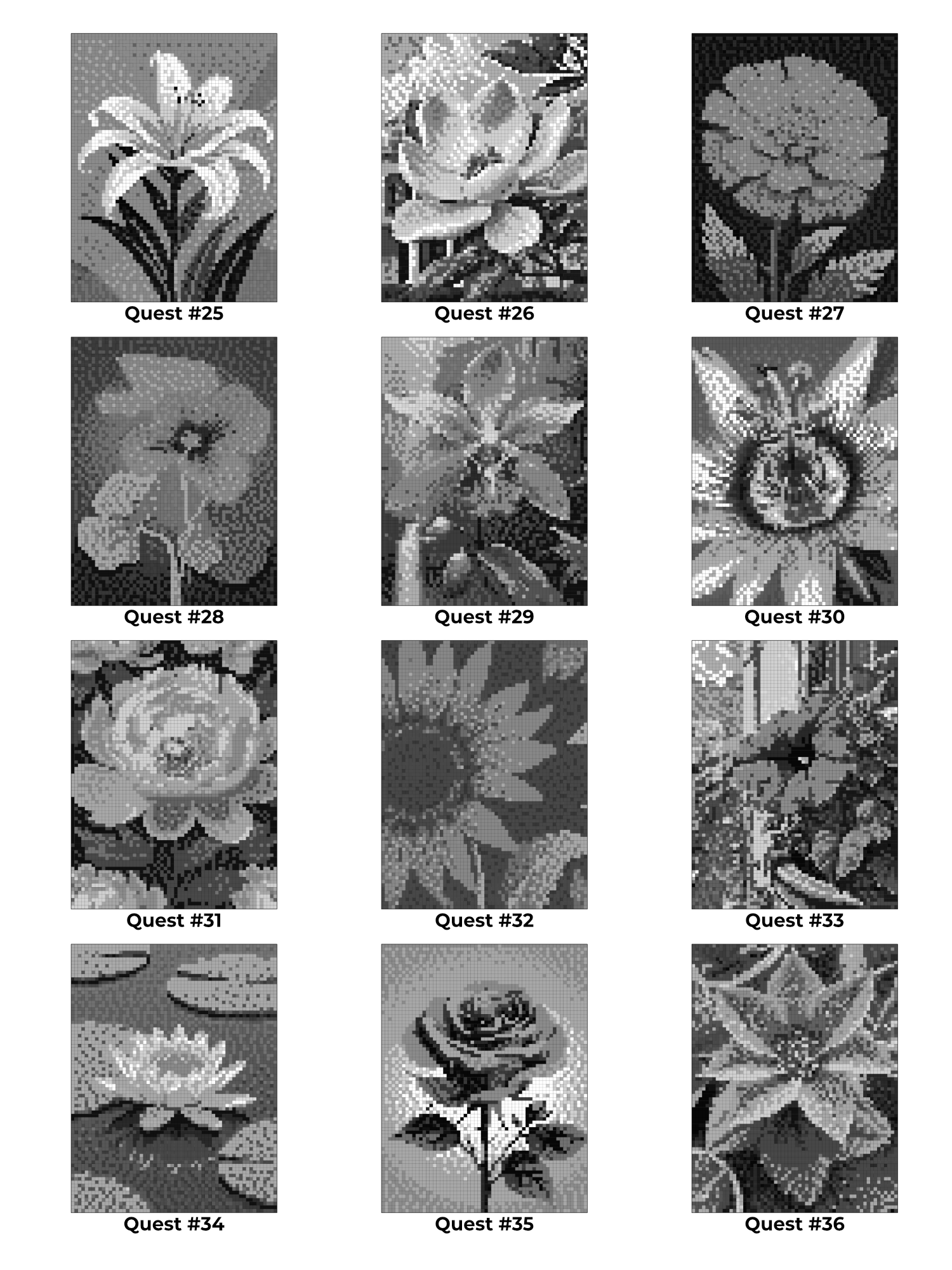 Pixel-Perfect Flowers Coloring Book: Pixel Art Color By Number with 36 Illustrations product image (7)