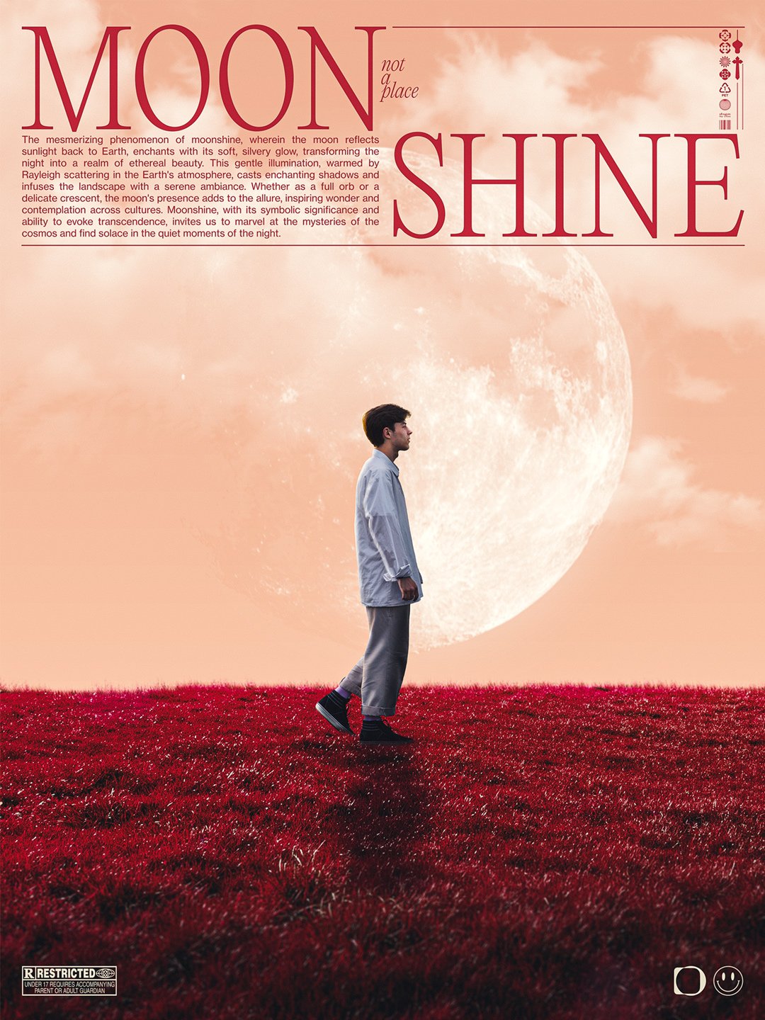 MOONSHINE DIGITAL ART product image (1)