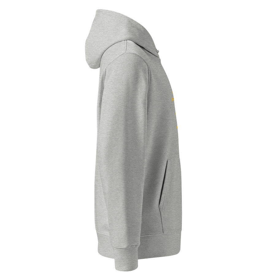 Cosmic Journey Unisex Organic Hoodie product image (4)
