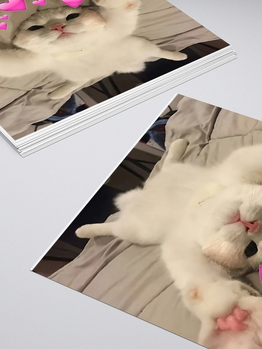 Kiss Cut Stickers: Meme Cats product image (4)