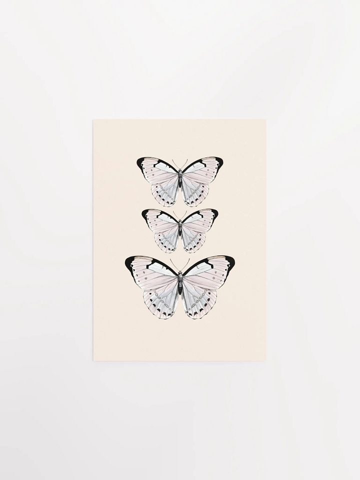 Butterfly Trio Matte Poster product image (5)