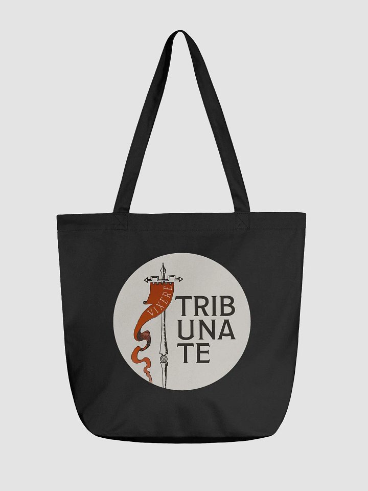 Tote bag product image (2)