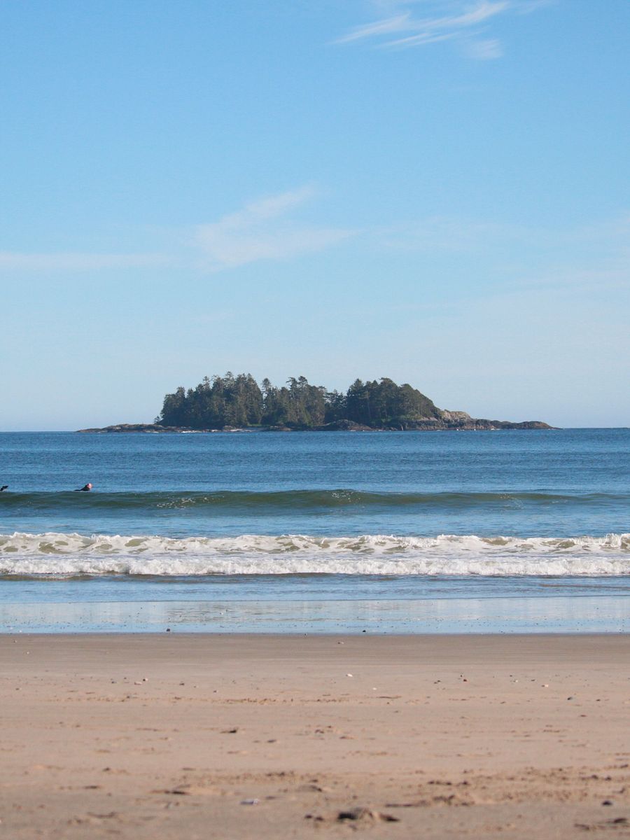 Wild Pacific Light product image (2)