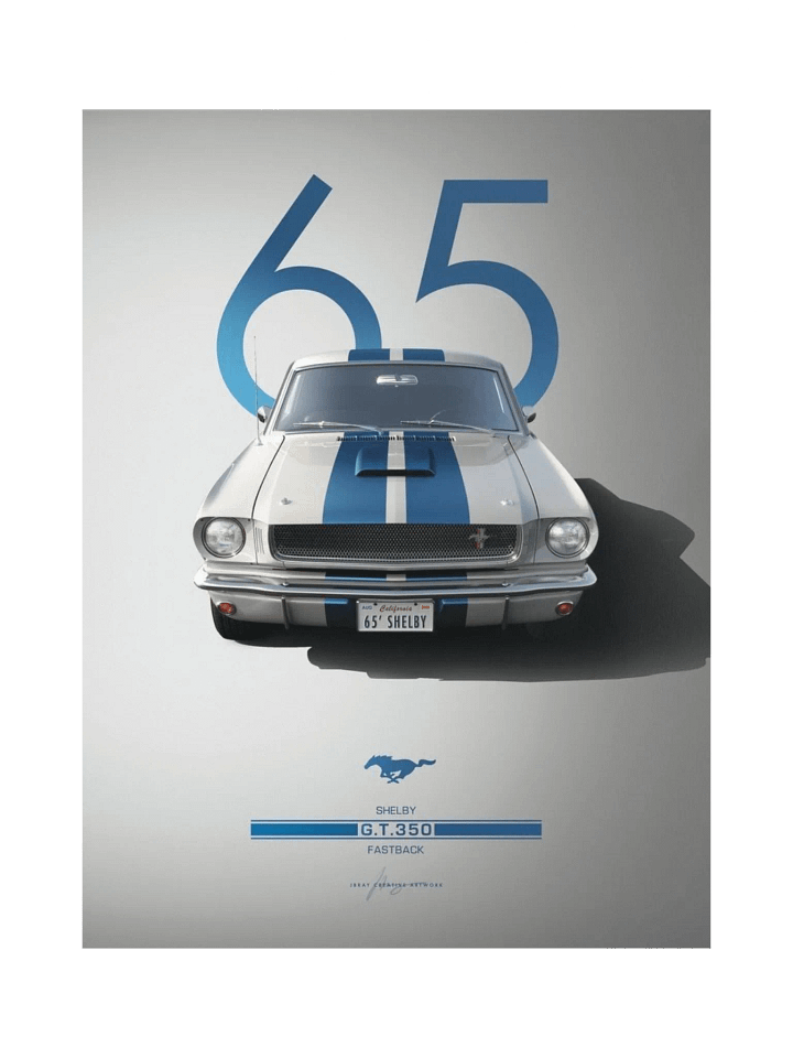 GT 350 product image (1)
