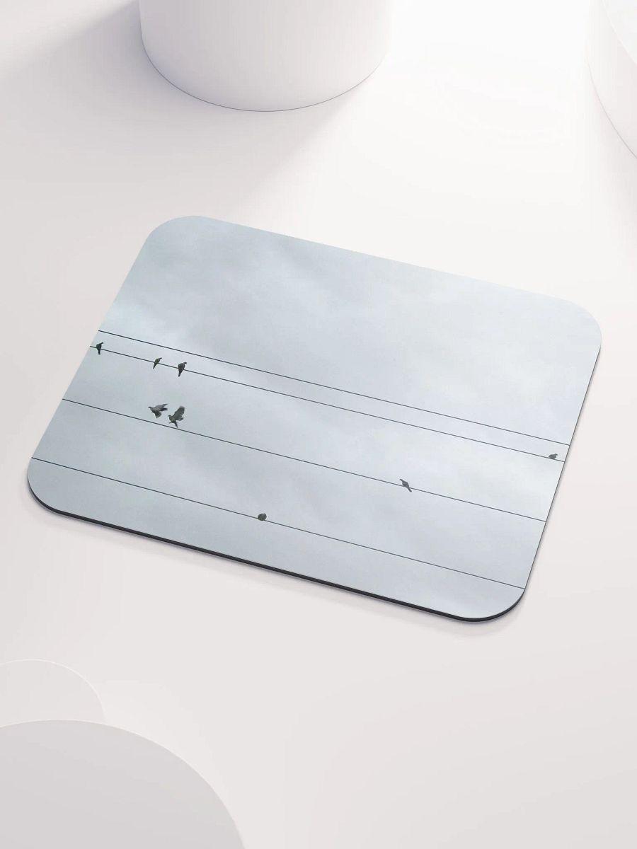 Bird Power product image (3)