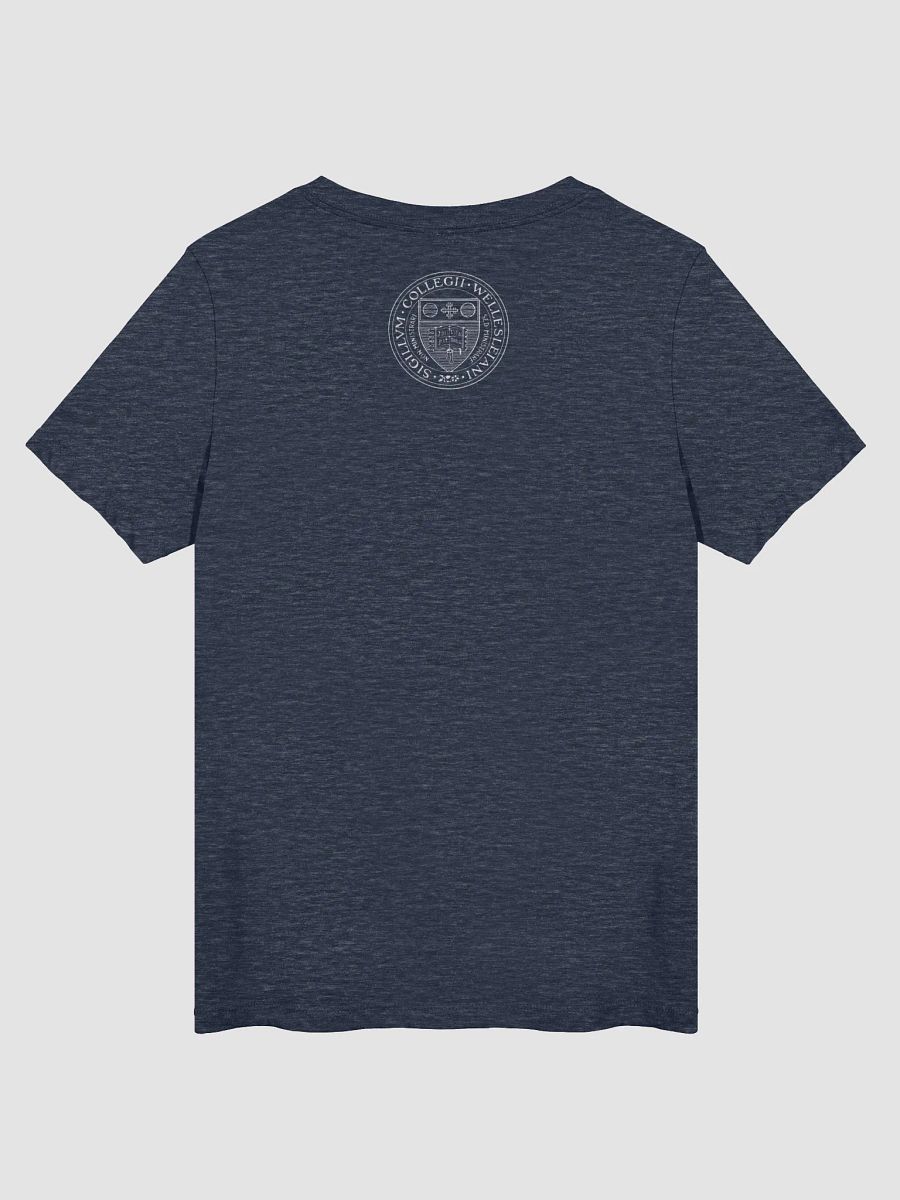 Minimalist Serif Reunion V-Neck with Small Wellesley College Seal on Back product image (2)