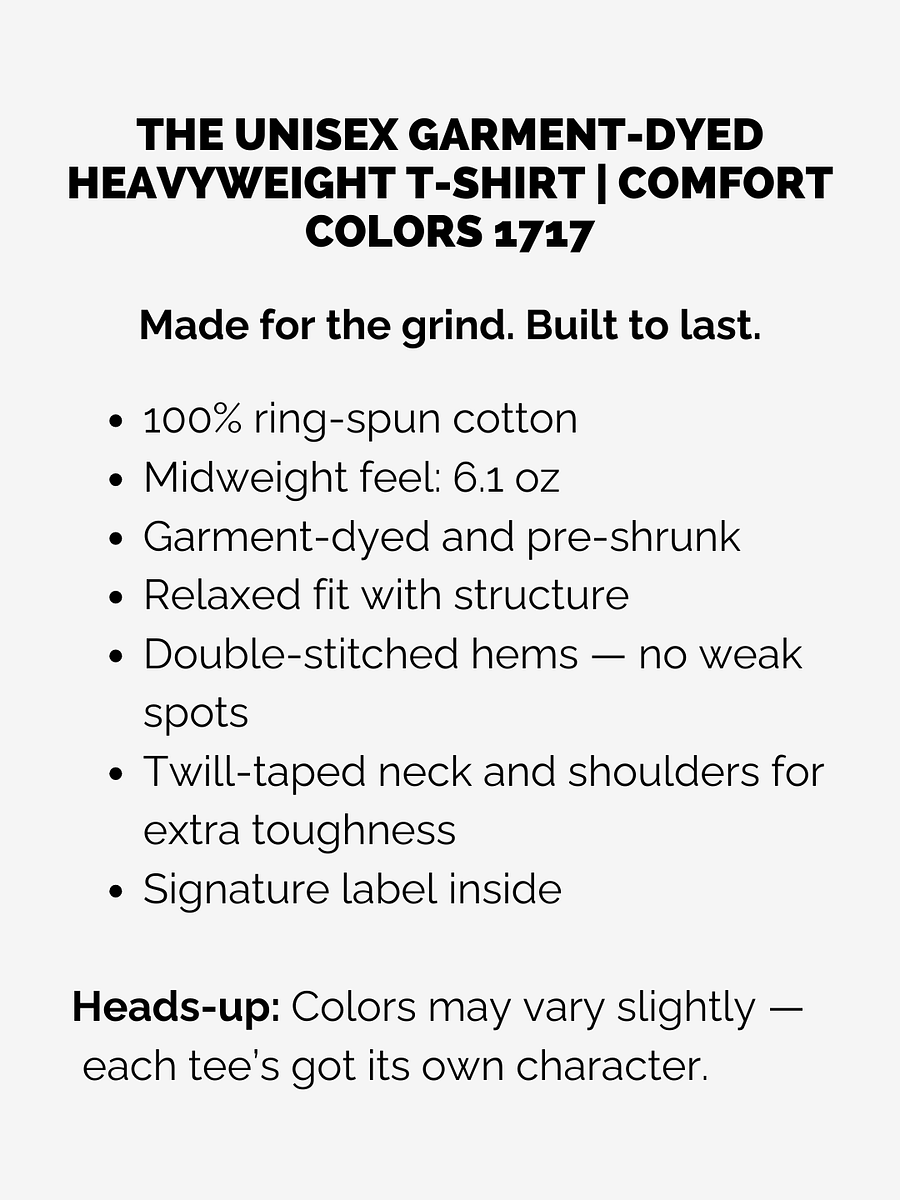 Fighting Is Everything Fearless MMA Fighter T-Shirt! product image (4)
