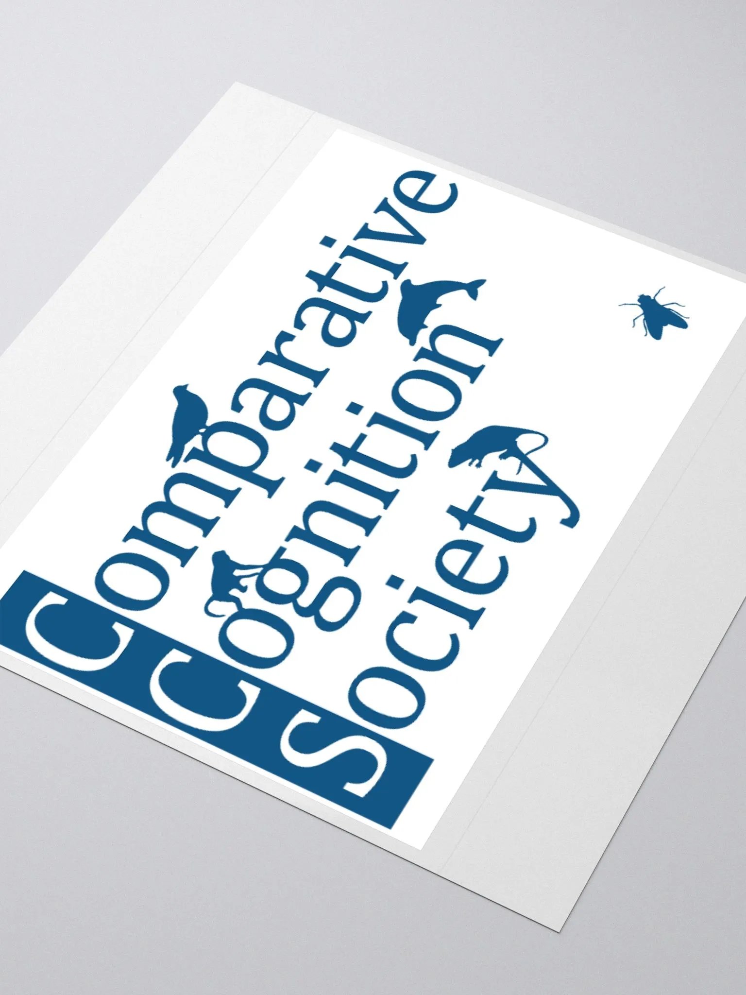CCS logo stickers product image (3)